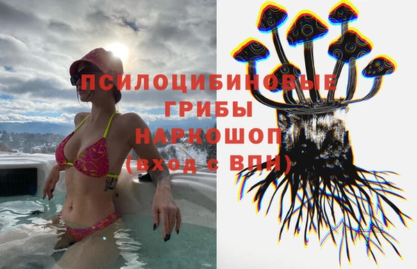 молекула духа Аркадак