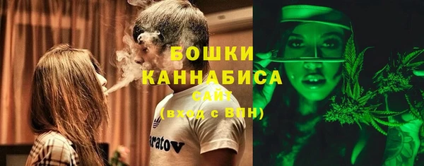 молекула духа Аркадак
