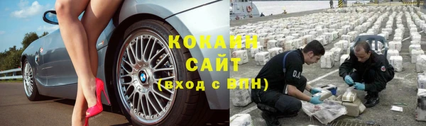 амф Арсеньев