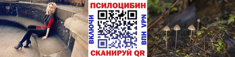 Галлюциногенные грибы MAGIC MUSHROOMS  Купить  Любань 
